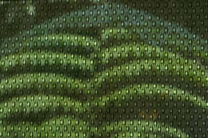 Gabriel Orozco Katagami View, 2001