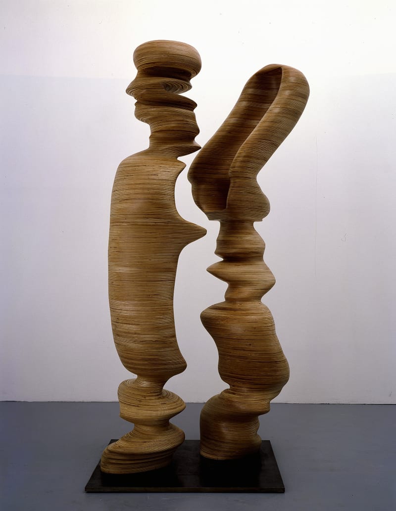 Tony Cragg Chain of Events, 2007