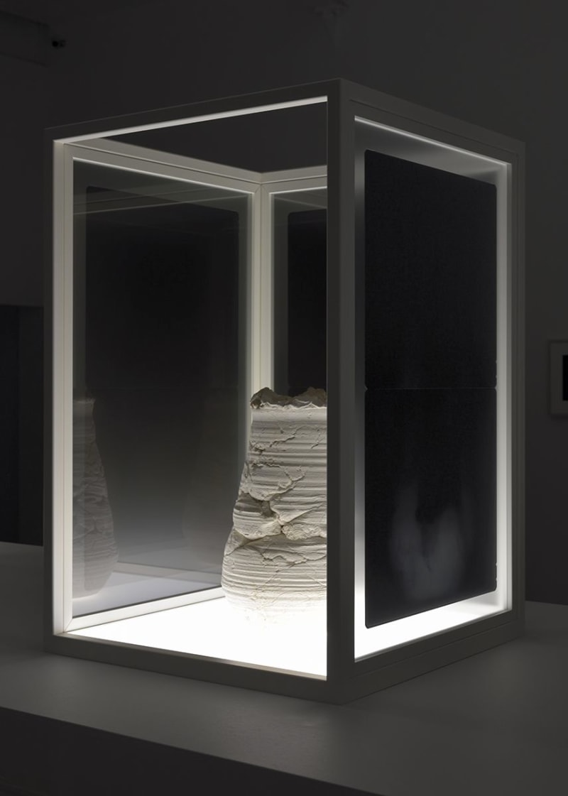 Giuseppe Penone Il vuoto del vaso, 2005