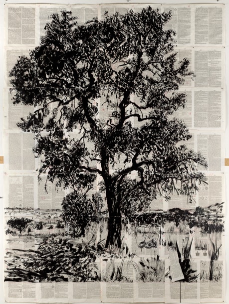 William Kentridge Untitled, 2013