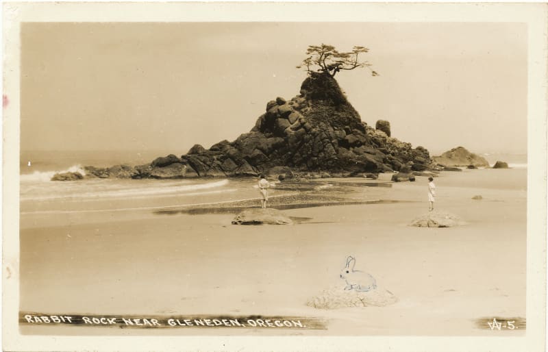 Tacita Dean Rabbit Rock, 2012