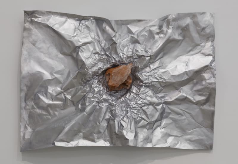 Giuseppe Penone Avvolgere la terra (To Enfold the Earth) (27), 2014