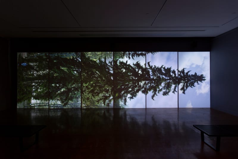 Eija-Liisa Ahtila Horizontal - Vaakasuora, 2011