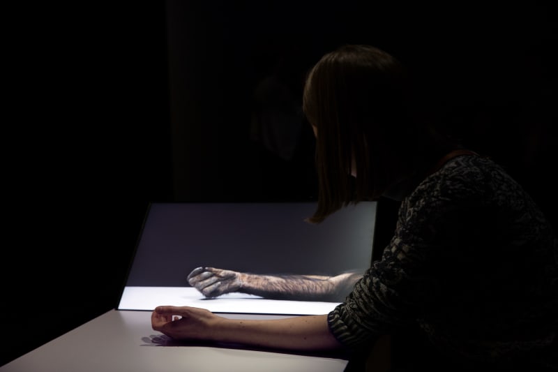 Eija-Liisa Ahtila Potentiality for Love - Table Two, 2018