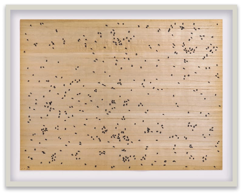 Ed Ruscha Black Ants, 1972 Screenprint on paper-backed wood veneer Sheet: 20 1/8 x 27 in. (51.1 x 68.6 cm)...