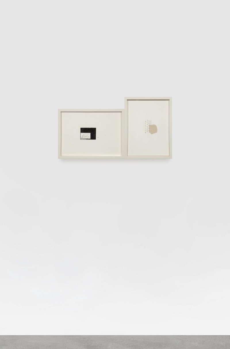 Richard Tuttle Cognition, 2010
