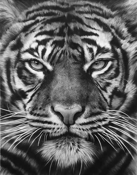 Robert Longo Untitled (Cavaliere Bianco), 2014