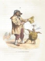 Jj Grandville Scenes of the Private and Public Life of the Animals, 1842