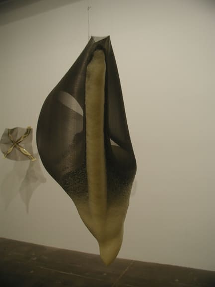 Gabriel Orozco Spume Drop, 2003