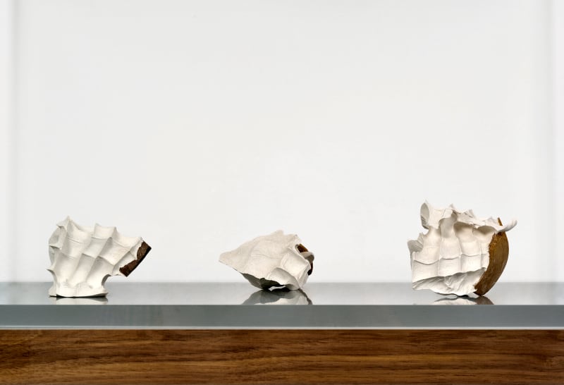 Giuseppe Penone Cocci, 1979
