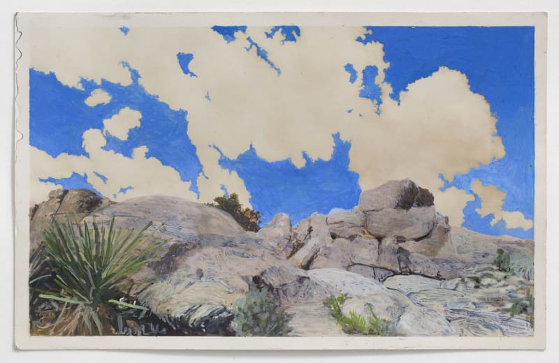 Tacita Dean Hidden Valley, 2016