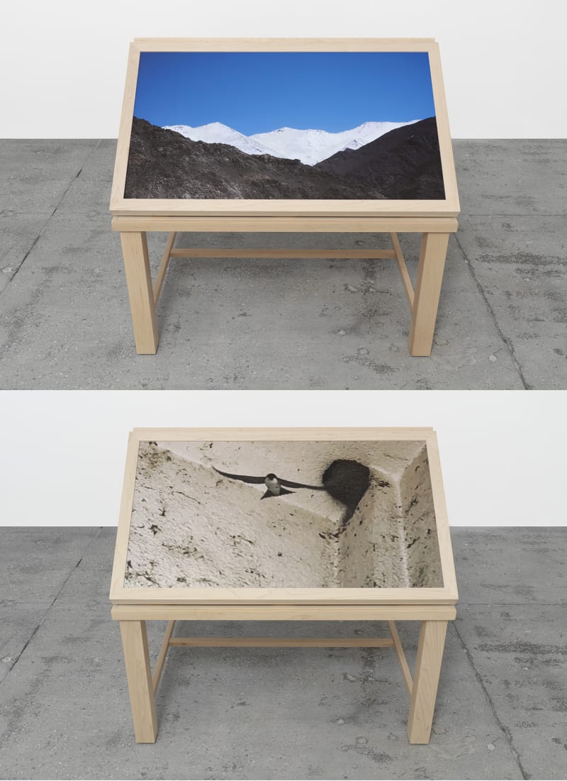 Richard Deacon Home & Away #11, 2018