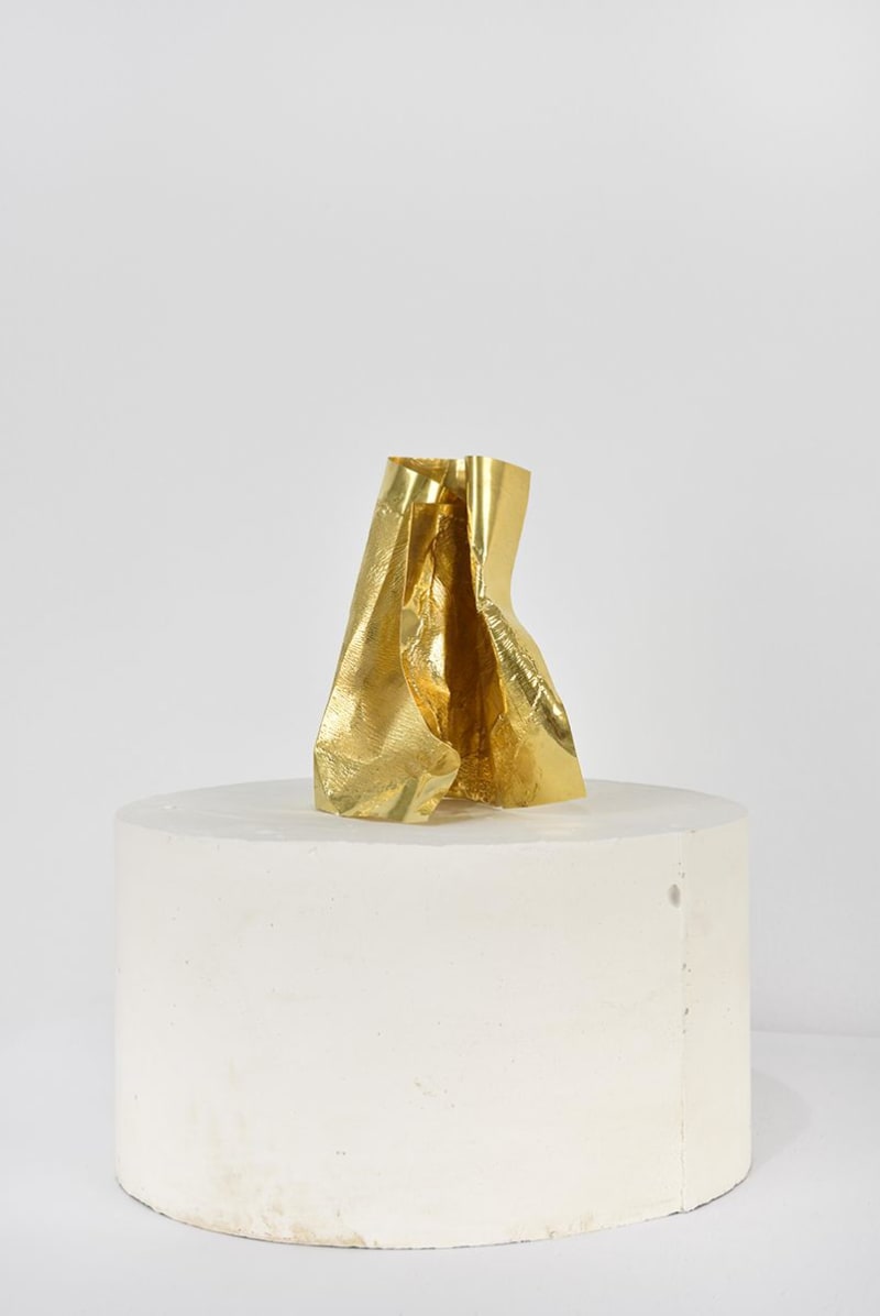 Giuseppe Penone Spoglia d'oro, 2001