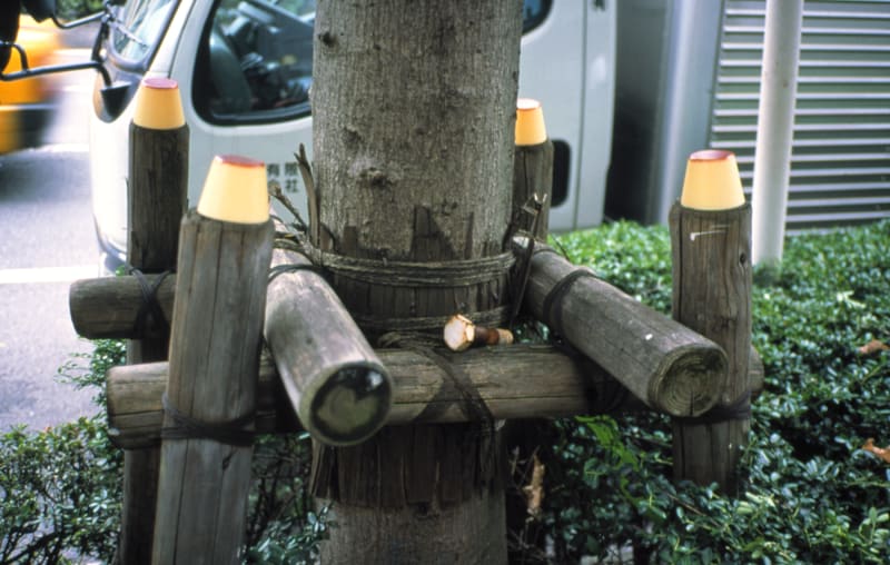 Gabriel Orozco Flan Poles, 2000