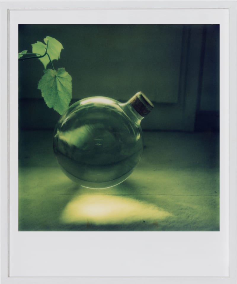 Robby Müller Still life with leaves and green glass bell, c. 1985 Polaroid 600 inkjet print fine art on cardboard...