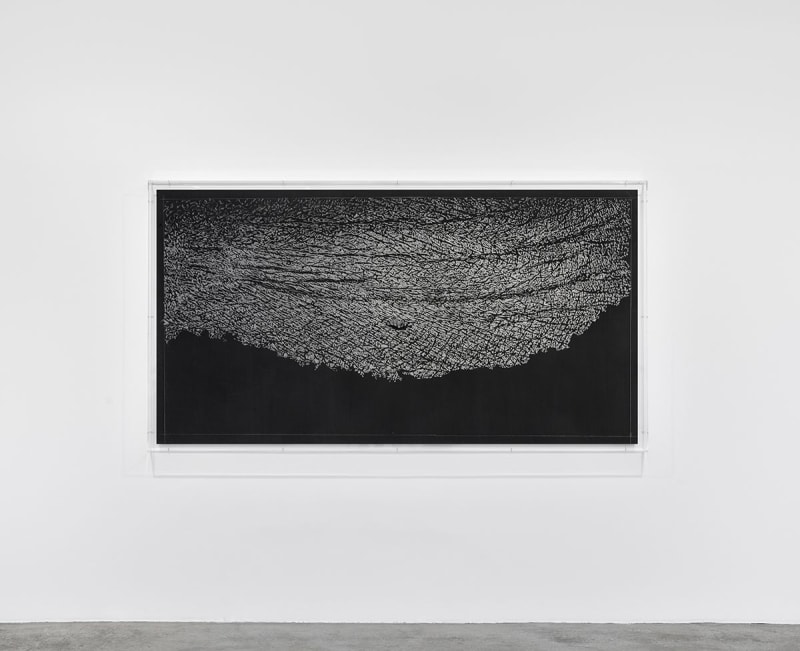Giuseppe Penone Pugno di grafite - palpebra, 2012
