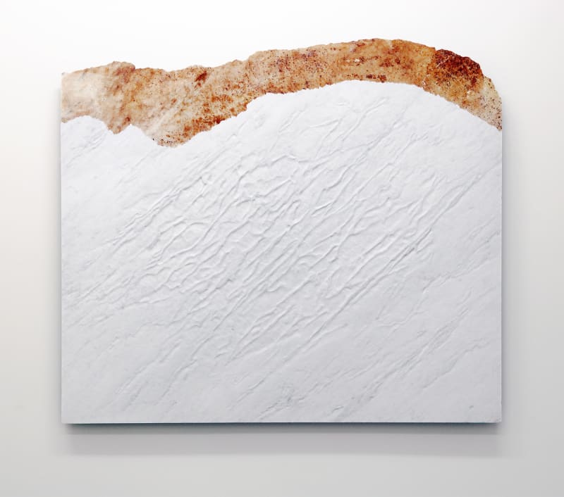 Giuseppe Penone Pelle del monte, 2012