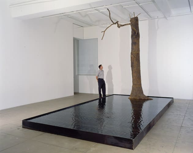 Giuseppe Penone Linee d'Acqua (Lines of Water), 1999