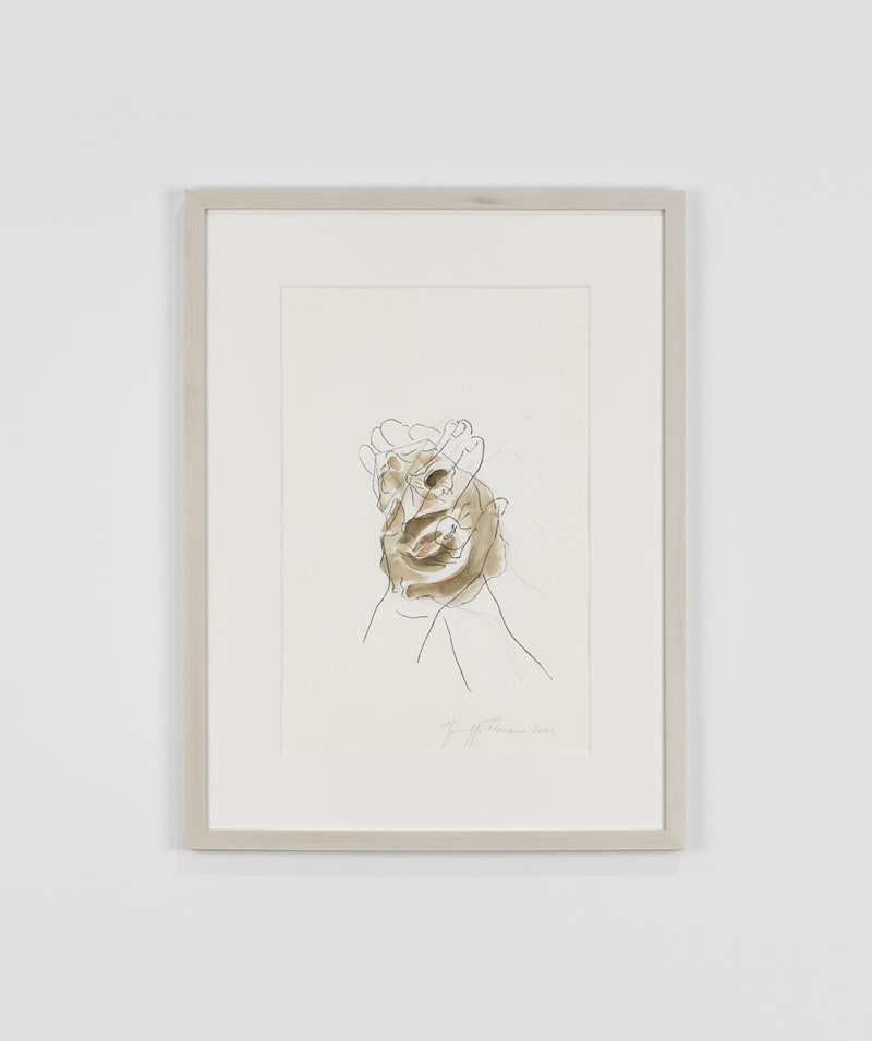 Giuseppe Penone Senza titolo, 2004