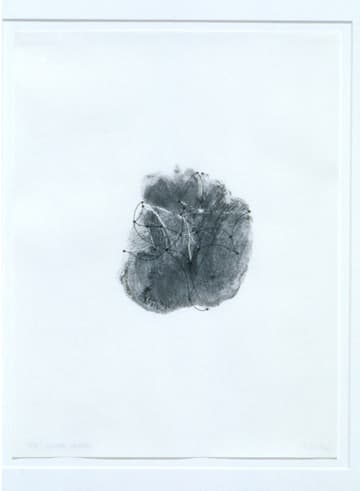 Gabriel Orozco Untitled, 2001