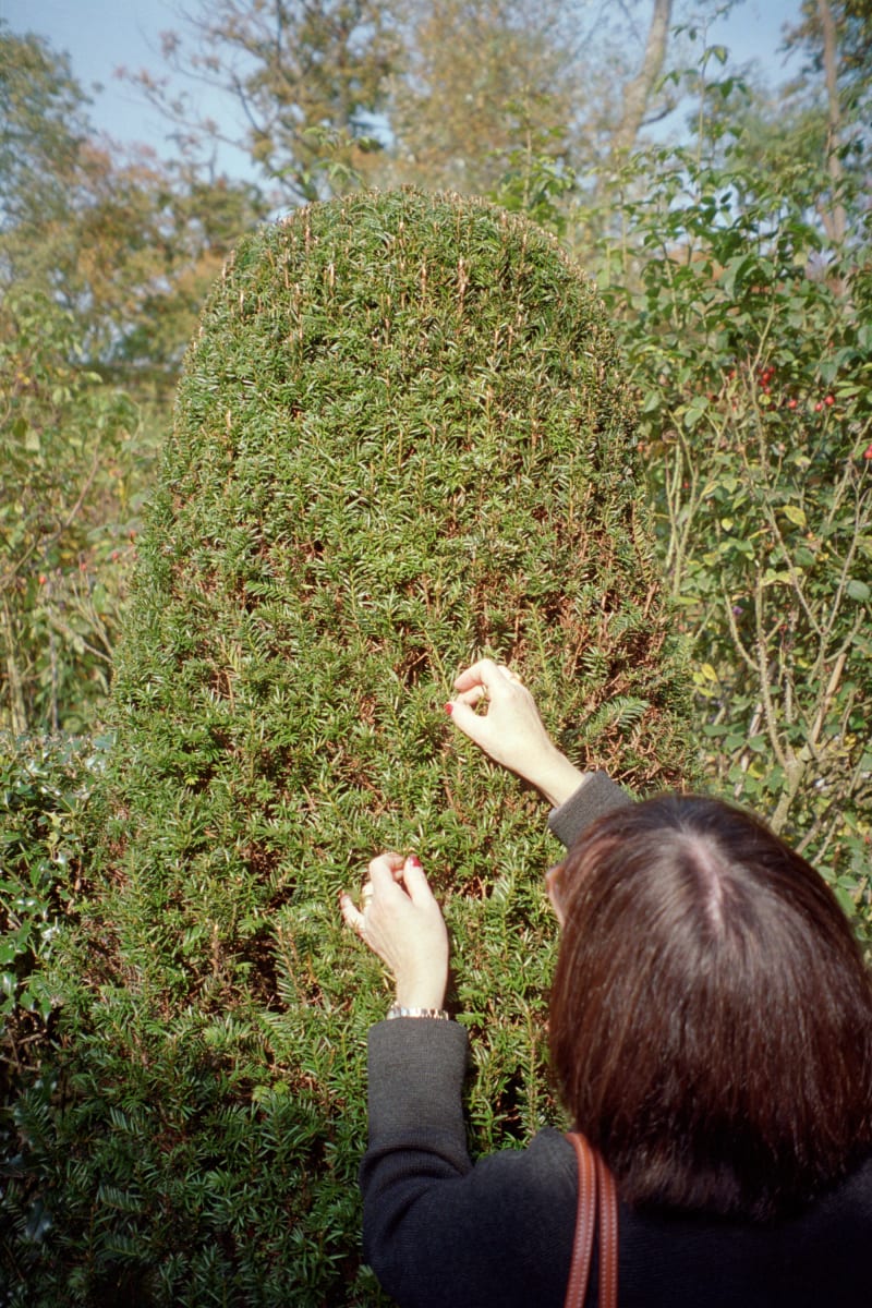 Jeff Wall Jeannette in Wirtz's Garden, 2008