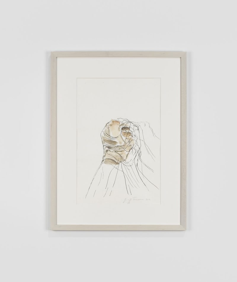 Giuseppe Penone Senza titolo, 2004