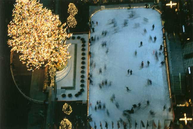 Tacita Dean Floh: Ice Rink, 2000