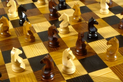 Gabriel Orozco Horses Running Endlessly, 1995