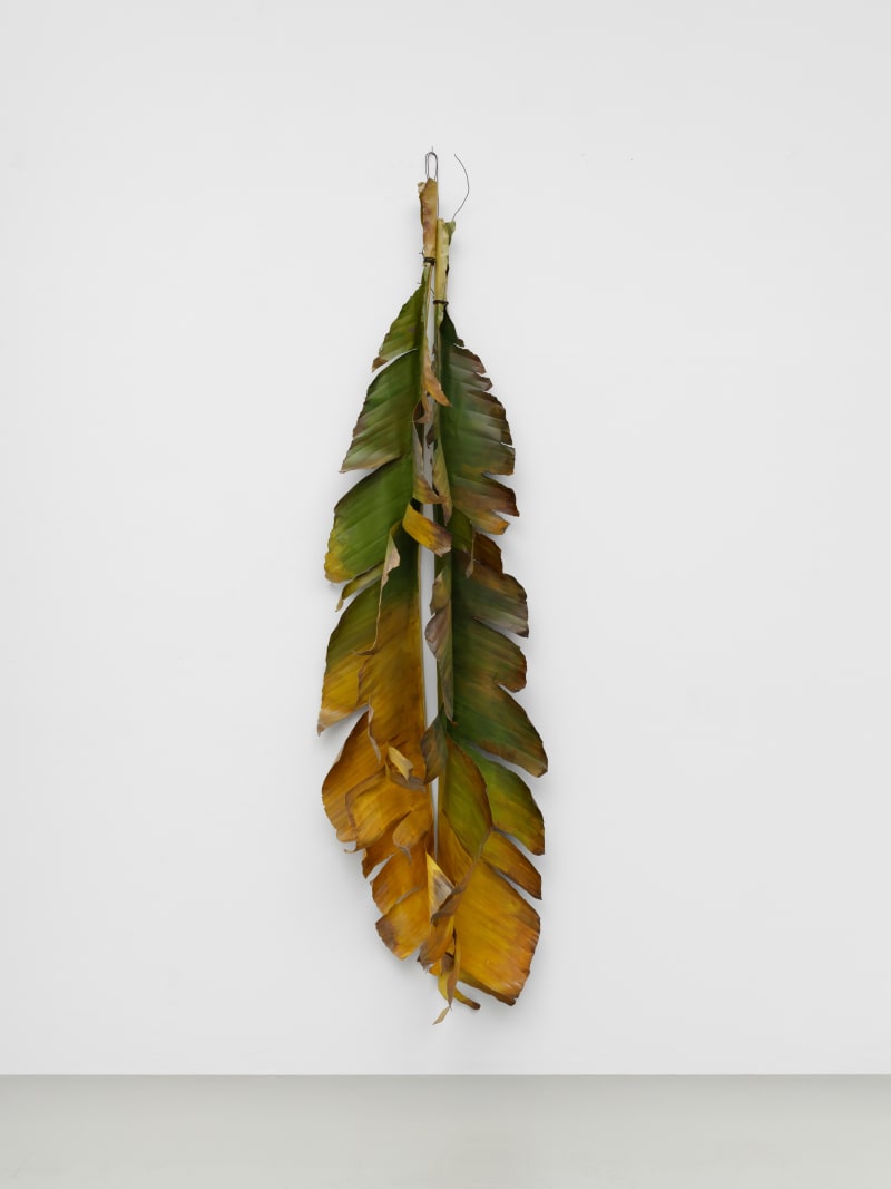 Álvaro Urbano Hotel Gazmira (Musa acuminata), 2025 2 elements; metal, acrylic paint 82 5/8 x 23 5/8 x 14 5/8...