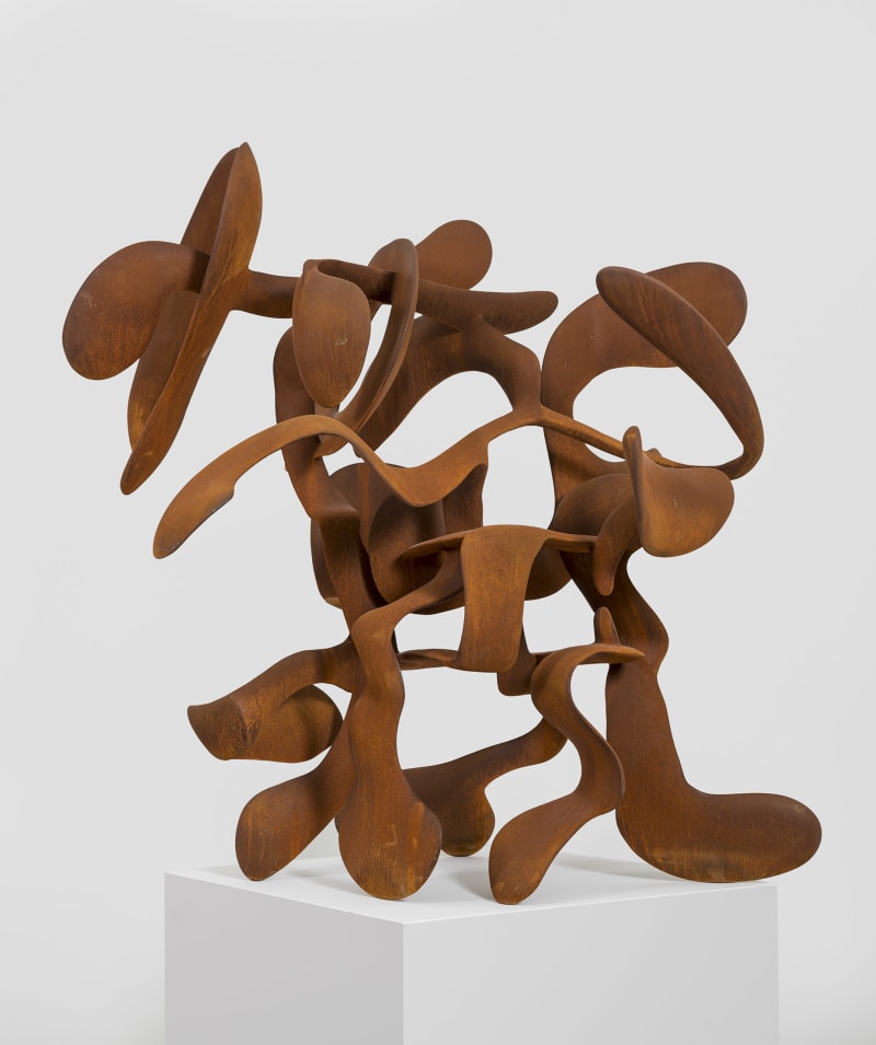 Tony Cragg Hedge, 2016