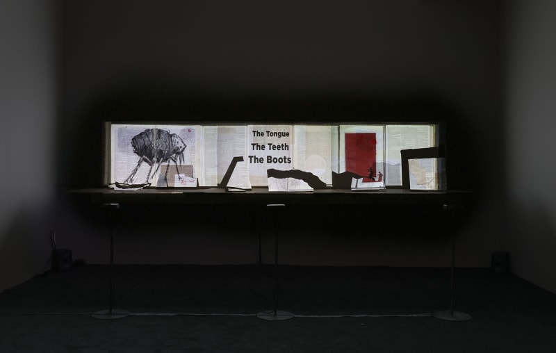 A horizontal projection of dictionary pages with a drawing of a bug and the words, The Tongue, The Teeth, The Boots in the center.