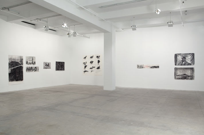A large white room features numerous charcoal drawings of people, objects and birds. 