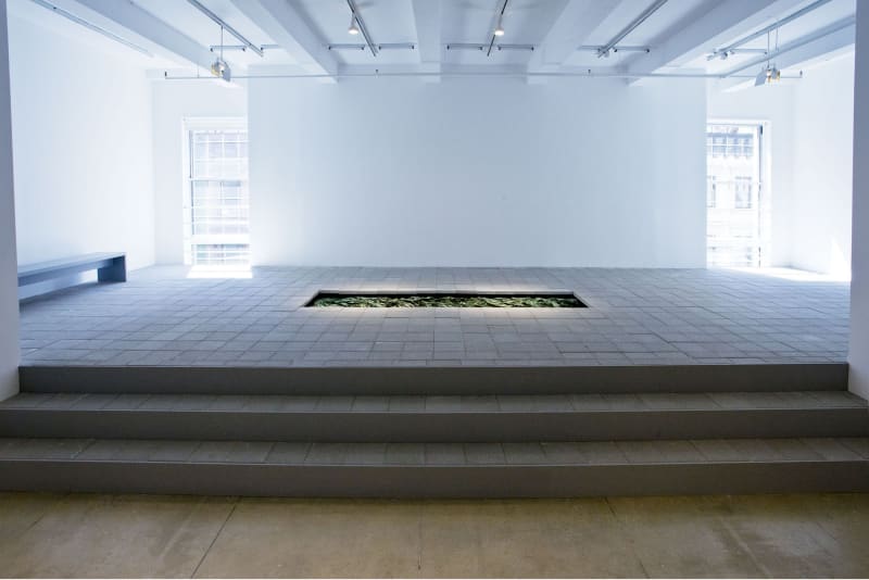 On a large stone tiled platform, an opening in the floor glistens green and gold - the hole's contents are unclear. Large windows are on either side, a bench sits to the left.