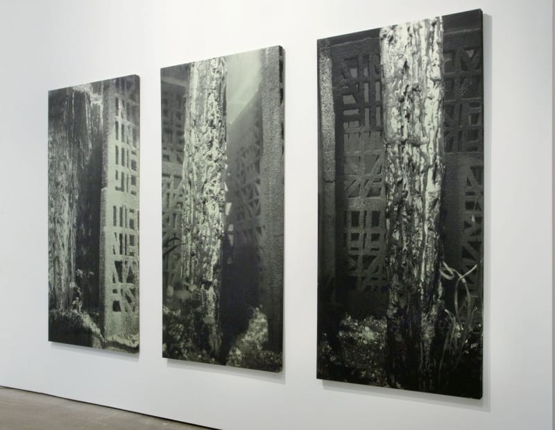 3 large underwater photographs show stone walls and plant life.