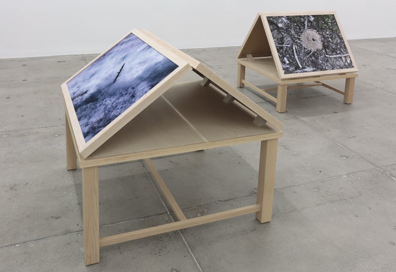 Two wooden stands on a concrete floor display color photographs; on the left, one of rushing water and on the right, an ant hill. 