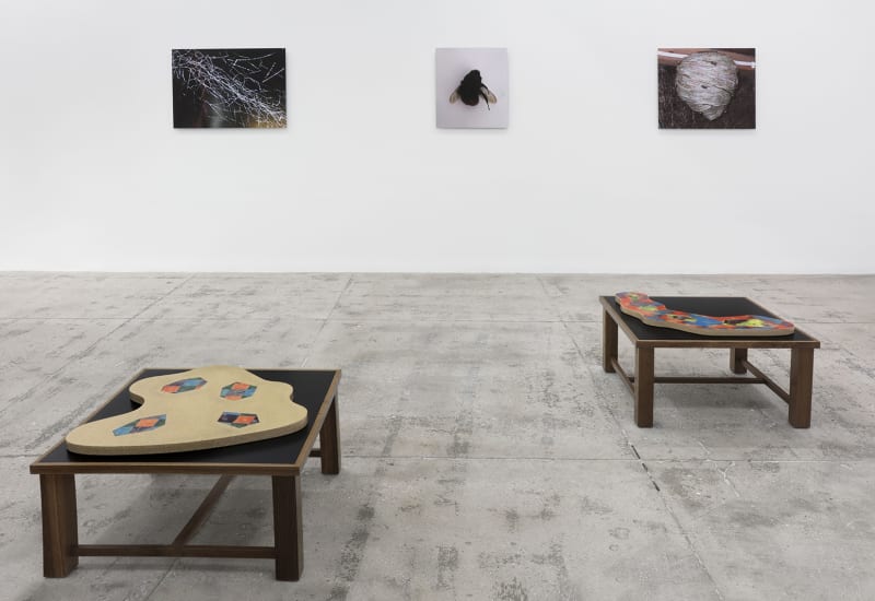 3 photographs hang on a white wall and 2 flat sculptures sit on wooden platforms in the foreground. 
