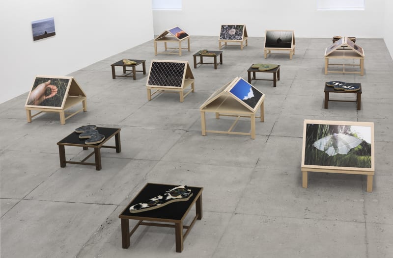 15 wooden platforms display photographs of nature and flat sculptures on a concrete floor. A beach photograph hangs on a white wall. 