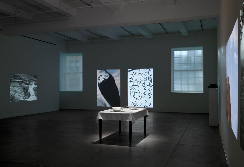 A dining table with a table cloth and white plates in the middle of the room is surrounded by large projections of black-and-white landscapes, birds, feather-like patterns and the sky. 