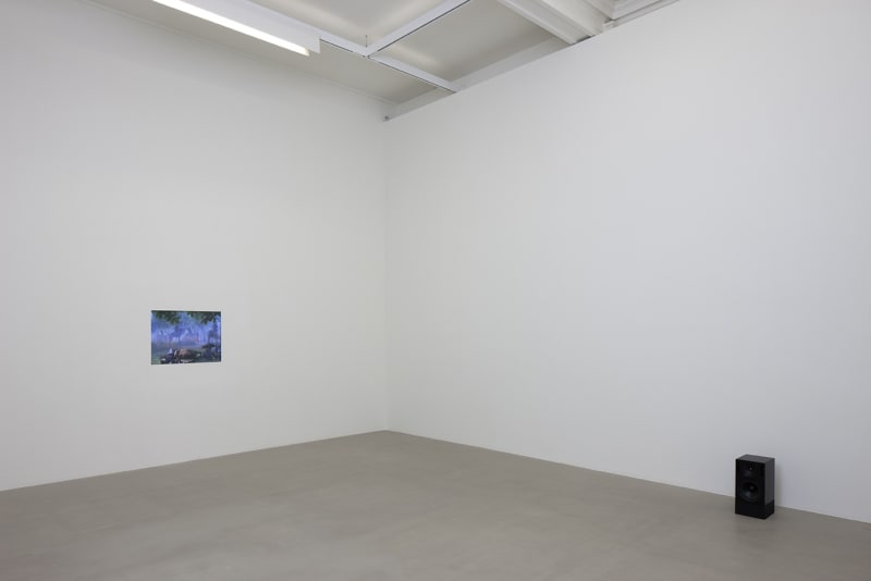 A small screen embedded in the wall and a black speaker sit in a white room. The screen, barely visible, displays horses and foliage. 