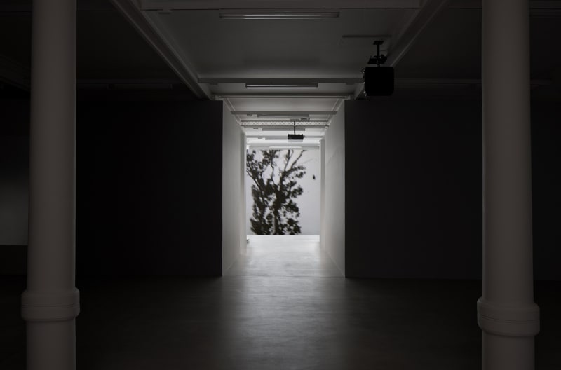A black and white image of a tree illuminates a hallway that leads to a large darkened room with 2 white columns. 