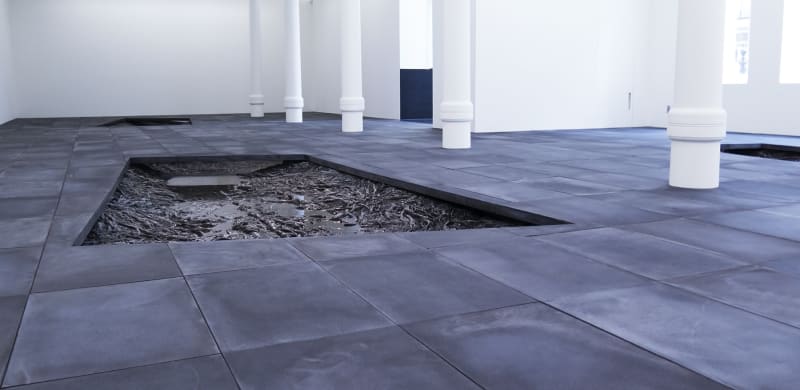 3 rectangles are cut out of a dark grey tiled floor in a large white room. They are filled with cast roots and a surface resembling water. 5 white columns span the length of the room. 