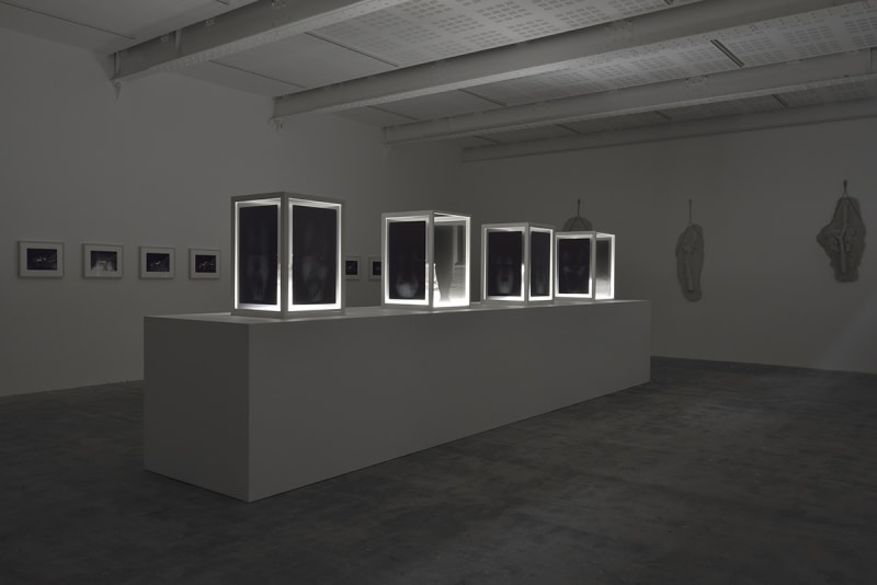 An exhibition installation view from: Giuseppe Penone, Ebbi, Avrò, Non Ho (J’eus, J’aurai, Je n’ai)