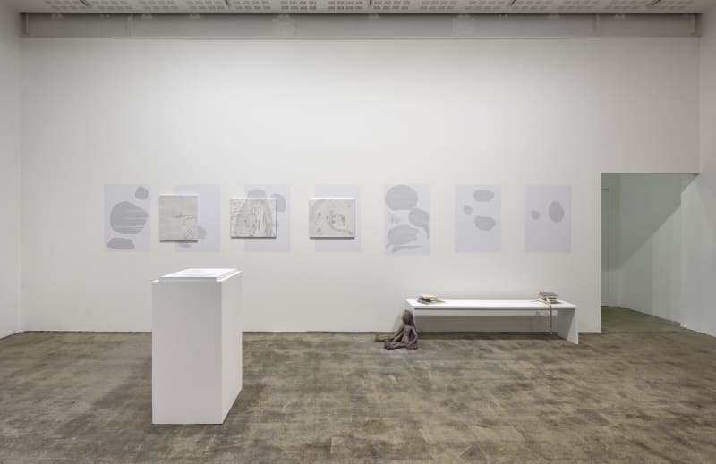 An exhibition installation view from: Pure Fiction, Curated by Julie Boukobza