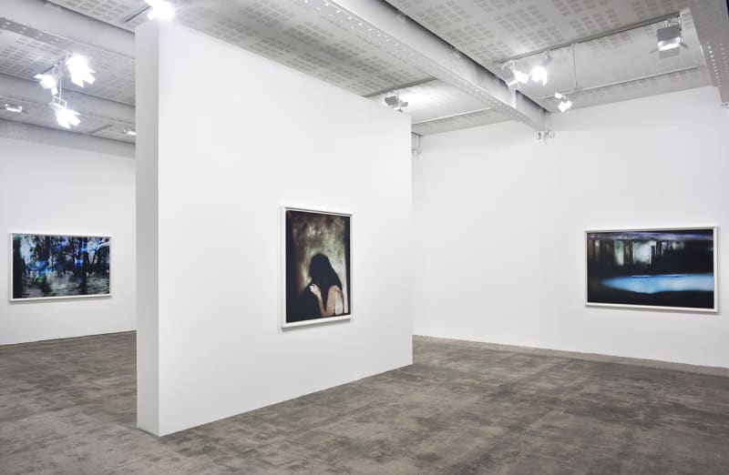 An exhibition installation view from: Matt Saunders, Inondé