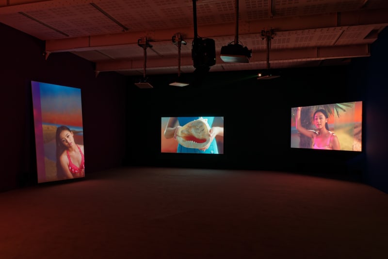 An exhibition installation view from: Yang Fudong, The Coloured Sky: New Women II