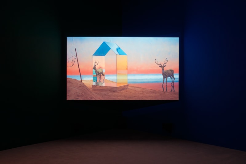 An exhibition installation view from: Yang Fudong, The Coloured Sky: New Women II