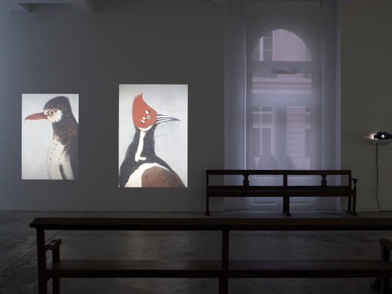 An exhibition installation view from: Lothar Baumgarten