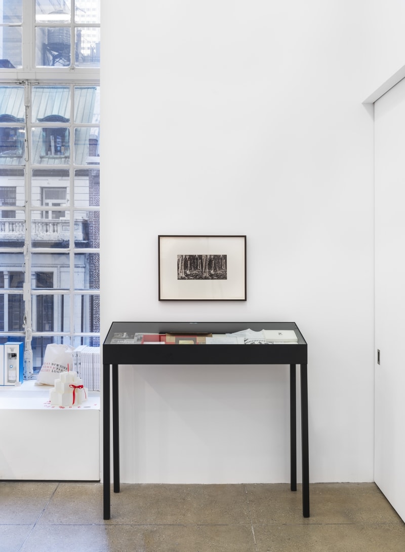 An exhibition installation view from: Summer Pop-Up Shop