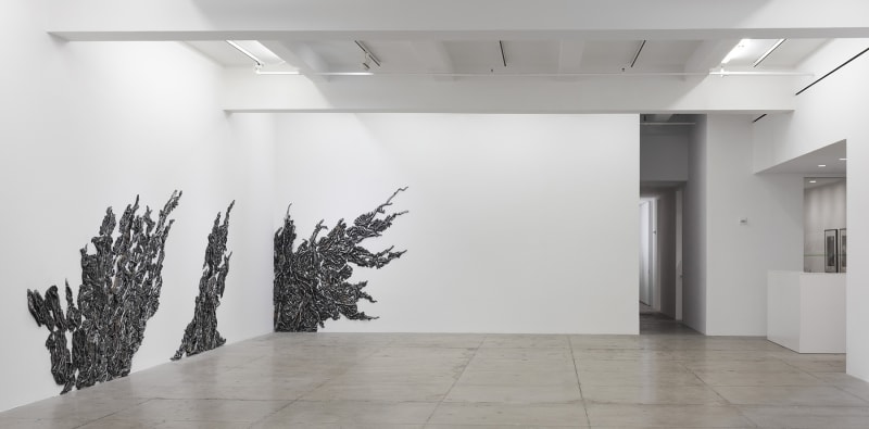 3 organic, plant-like forms climb up the gallery walls from the floor.