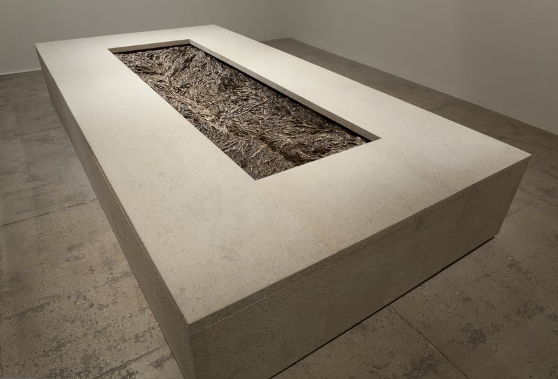 A rectangular cut away reveals a system of cast roots in a large concrete slab.